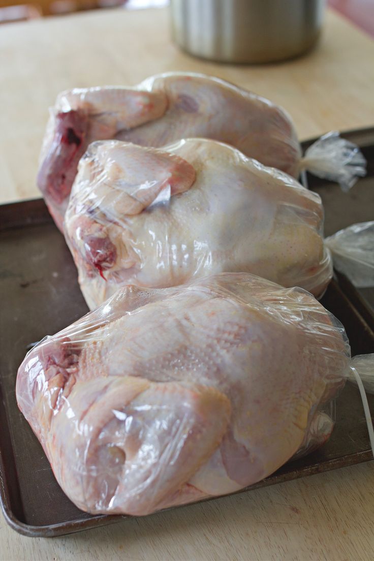 Chicken broilers